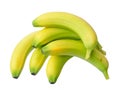 Young ripe banana