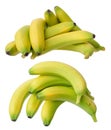 Young ripe banana