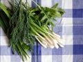 Young ripe greens on the checkered napkin top view closeup