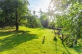 Young roe deers on the meadow in summer, top view. Zoo, wild animals and mammal concept Royalty Free Stock Photo