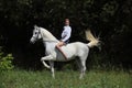 Young romantic girl bareback riding arabian horse Royalty Free Stock Photo