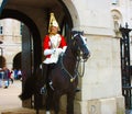 A young royal guard on horseback in London