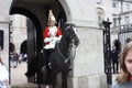 A young royal guard on horseback in London