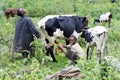 Young rwandan farmers