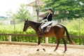 Young 20s Asian woman in horse riding suit with beautiful animal outdoors. Female ride tall smart