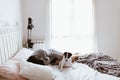 Young sad brunette woman caressing her labrador puppy lying in bedroom