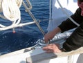 Young sailor on the winch in the sailboat cockpit. Royalty Free Stock Photo