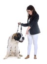 Young saint bernard and owner