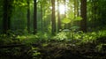 Young sapling in lush forest with towering trees symbolizing growth and maturity