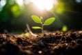 Young Sapling - A Symbol of Life and Growth: A Close-up Image