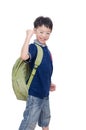 Young schoolboy with backpack Royalty Free Stock Photo