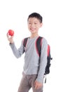 Young schoolboy with backpack smiling over white Royalty Free Stock Photo