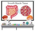 Young scientist explaining smooth muscle tissue in front of a board with laboratory elements Royalty Free Stock Photo