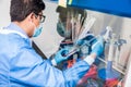 Young scientist working in a safety laminar air flow cabinet Royalty Free Stock Photo