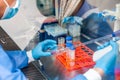 Young scientist working in a safety laminar air flow cabinet Royalty Free Stock Photo