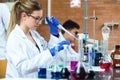 Young scientists carrying out an experiment in a laboratory. Royalty Free Stock Photo