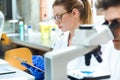 Young scientists carrying out an experiment in a laboratory. Royalty Free Stock Photo