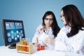 Young scientists doing medical research Royalty Free Stock Photo