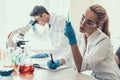 Young Scientists examining Samples in Laboratory Royalty Free Stock Photo