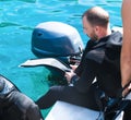 A young scuba diver before diving diver puts flippers while sitting on a boat. Diving lessons with an instructor. Close-up