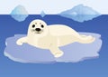 A young seal on an ice floe