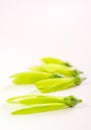 Fragile wing and young seed of White Meranti fall on white floor Royalty Free Stock Photo