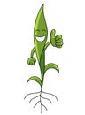 Young seedling plant mascot character. Thumbs up. Healthy green sprout growing. Eco agricultural. Vector flat.