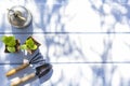 Young seedlings in peat pots with gardening tools on white wooden background with natural shadows. Spring gardening vegetables