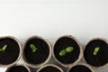 Young seedlings in peat pots on wooden table, flat lay. Space for text Royalty Free Stock Photo