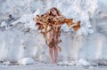 Young sexy blonde nude woman stands in front of deep snow with dried up banana tree in winter