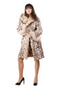 Young lady in leopard coat Royalty Free Stock Photo