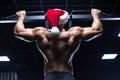 Young sexy Santa Claus in a Christmas hat is working out pumping up back muscles in the gym gaining weight on machines Royalty Free Stock Photo