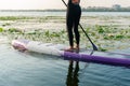 SUP Stand up paddle board woman paddle boarding Royalty Free Stock Photo