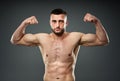 Athletic fighter posing on gray Royalty Free Stock Photo