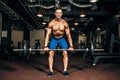 Young shirtless man doing deadlift exercise at gym. Royalty Free Stock Photo