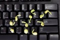 Young Shoots on Computer Keyboard