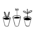 Young shoots in flower pots. Vector floral set. Doodle style, hand-drawn, forcing plants, seedlings in pots. Black outline drawing