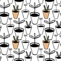 Young shoots in flower pots. Vector seamless pattern. Doodle style, hand-drawn, forcing plants, seedlings in pots. Black outline Royalty Free Stock Photo