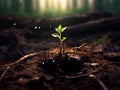 Young shrub sprout growing on a forest floor