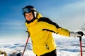 Young skier standing on mountains