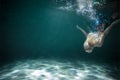 Young Slender Girl Underwater with a Cloth. Water Magic. Copy Space Royalty Free Stock Photo