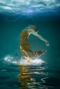 Young Slender Girl Underwater. Water Magic. Underwater Photography. Art Royalty Free Stock Photo