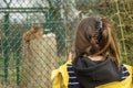 Young slim teenager girl in yellow jacket in a zoo looking on a sleeping tiger. Learning nature and day out concept Royalty Free Stock Photo