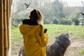 Young slim teenager girl in yellow jacket in a zoo taking picture of stunning tiger right in front of her. Learning nature concept