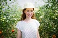 Young smiling agriculture woman worker working, harvesting tomatoes in greenhouse. Royalty Free Stock Photo