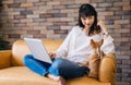 Young smiling Asian woman use laptop on her lap and Chihuahua puppy pet sit together on sofa at home Royalty Free Stock Photo
