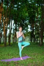 Young smiling attractive yogi woman practicing yoga, standing in Vrksasana exercise, Tree pose. Thin brunette girl plays sports Royalty Free Stock Photo