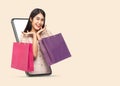 Young smiling beautiful asian woman making online shopping and holding shopping bags out through mobile phone Royalty Free Stock Photo
