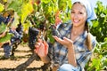 Young smiling female picking ripe grapes on vineyard