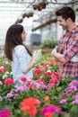Young smiling florists man and woman working in the greenhouse Royalty Free Stock Photo